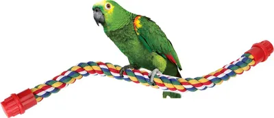 Immagine prodotto di Corda di cotone colorata appesa per uccelli Telaio in piedi confortevole pappagallo masticare arrampicarsi barra giocattolo S