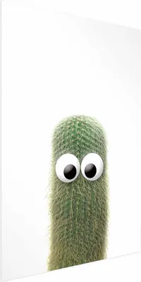 Produktbild von Posterpapier Poster - Prickly Friend 40x60 cm Blätter b-A-0400-ao-a