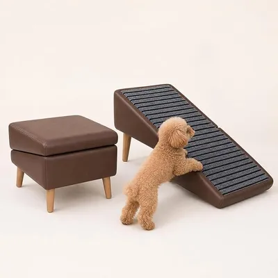 Imagen del producto de Rampa para perros, escalera para mascotas, taburete plegable 2 en 1, 82 cm