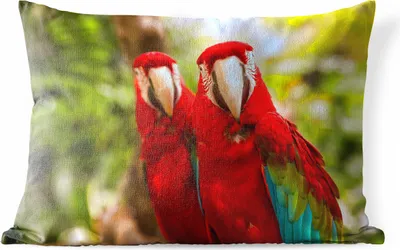 Produktbild von MuchoWow® Outdoor Kissen - Papageien - Vögel - Dschungel - 60x40 cm - Wetterfest - Lounge Kissen - Zierkissen - Kissen für Innenräume
