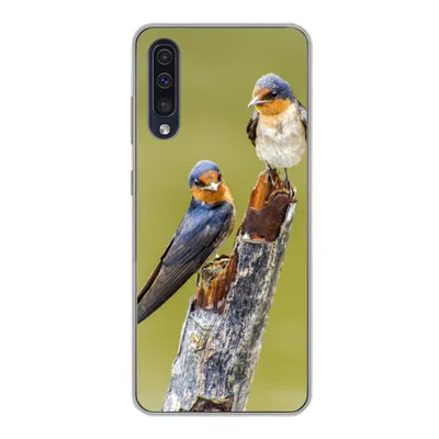 Produktbild von MuchoWow® Handyhülle Schutzhülle Hülle für Samsung Galaxy A30s Vögel - Zweig - Porträt Silikon Softcase Handy Hülle - Karteninhaber