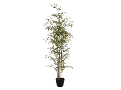 Produktbild von Kunstpflanze Bambus - H. 160 cm - MUCURI