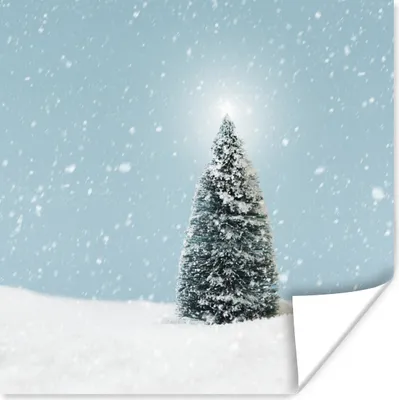 Produktbild von MuchoWow® Poster Ein Weihnachtsbaum in einer verschneiten Landschaft und einem blauen Himmel 30x30 cm - Wandposter - Printing