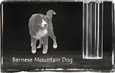 Produktbild von Berner Sennenhund, Dürrbächler, Bouvier bernois - Stifthalter, Kristallorganizer mit Hundefoto, einzigartige Schreibtischdekoration der Marke Art-Dog