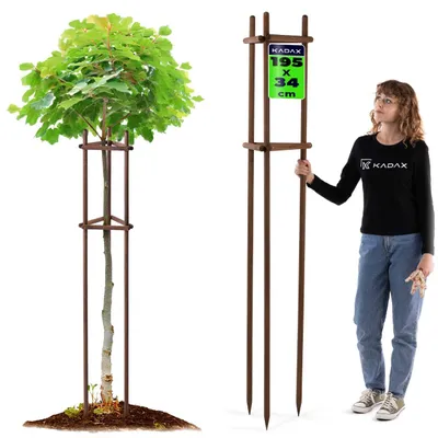 Produktbild von KADAX Baumstütze 195 cm aus robustem Holz, Baumpfahl zur sicheren Fixierung junger Bäume & Sträucher, dreibeinige Pflanzenstütze aus Buchenholz für Garten (Braun)