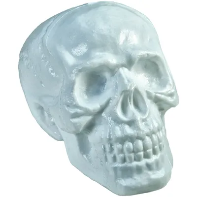 Obrázek produktu pro Europalms Halloween Totenschädel 31x22x22cm 83314669