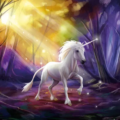 Produktbild von Einhörner Kunstdruck Bild - Das Einhorn Im Zauberwald (70 x 70 cm)