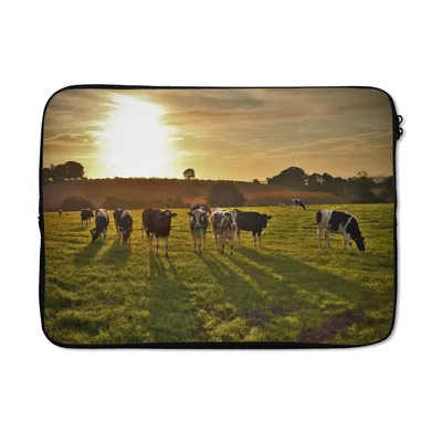 Produktbild von MuchoWow® Laptop Hülle 14 ZollKühe - Sonne - Licht Laptoptasche - Laptoptasche - Stoßsicher - Schutzhaube