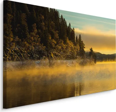 Obrázek produktu pro Obrázek zimní krajina Abstraktní nástěnná dekorace pro obývací pokoj s 3D efektem 70x50cm