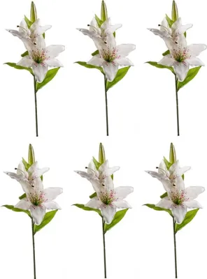 Produktbild von 6er Set künstliche Lilien mit 2 Blüten und Knospe weiß H. 65cm Emerald
