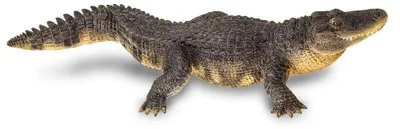 Produktbild von Safari Ltd Alligatorfigur Grau From 3 Years Kinder Grau From 3 Years