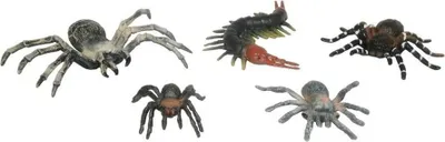 Produktbild von Gliederfüßer (Spielzeug, Figuren)