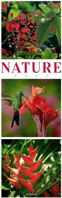 Produktbild von Nature 2022