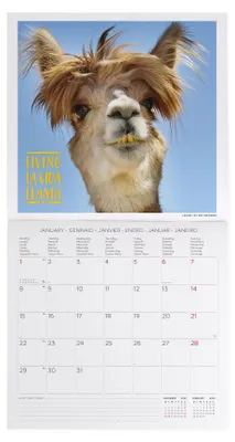 Immagine prodotto di Legami - Calendario da parete 2024, con 12 mesi e pianificatore annuale, spazio per appunti e senza immagini