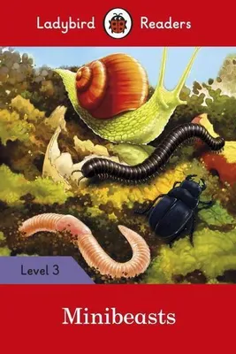 Imagen del producto de Minibeasts - Ladybird Readers Level 3