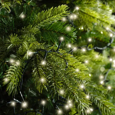 Produktbild von Kaemingk Lumineo Lichterkette Compact 350 LED warmweiß außen 7,5 m grün
