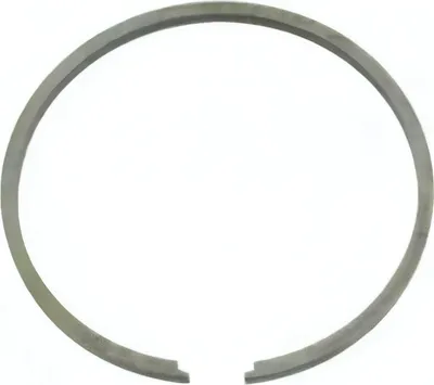 Immagine prodotto di Fasce elastiche - Ø46.00 x 2 mm