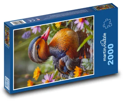 Obrázok produktu pre martinpuzzle - Puzzle 2000 - Kacica