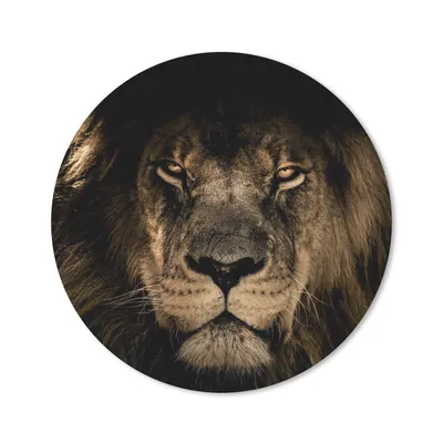 Produktbild von MuchoWow® Mauspad Mousepad Löwe - Tiere - Schwarz - Porträt 50x50 cm - Mousepads - Maus Mat - Pad - Mausunterlage - Vinyl