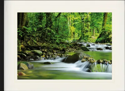 Produktbild von Lesy Zarámovaný obraz s elegantním paspartou | Wall Art | V rámu - Magická horská řeka (60 x 80 cm)
