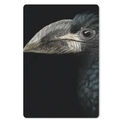 Produktbild von MuchoWow® Mauspad Mousepad Vogel - Porträt - Hornvogel - Schwarz - Tiere 18x27 cm - Mousepads - Maus Mat - Pad - Mausunterlage