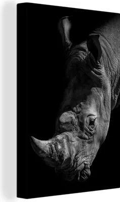 Produktbild von OneMillionCanvasses® - Leinwandbilder - 90x140 cm, Rhinozeros - Schwarz - Weiß, Wandbilder Kunstdruck Wanddekoration - Wandschmucke - Schlafzimmer