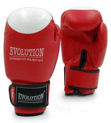 Image de Gants de boxe Evolution Standard cuir naturel 14 oz