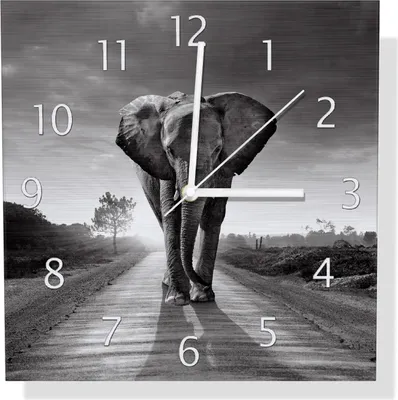 Produktbild von Wallario Design Wanduhr Elefant bei Sonnenaufgang in Afrika schwarzweiß aus Aluverbund, Größe 30 x 30 cm
