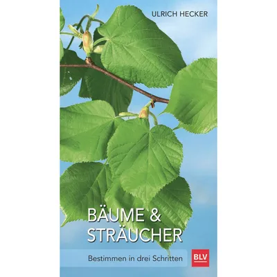 Image de Bäume und Sträucher