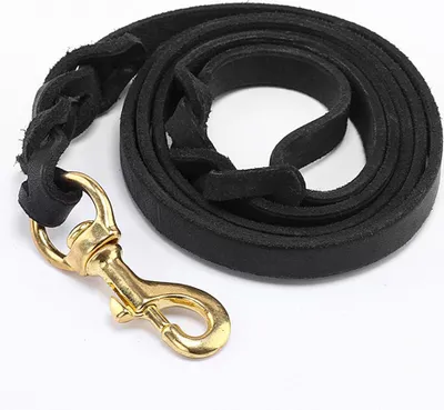 Produktbild von Hundetrainingsleine mit Karabiner, robuste Hundeleine für große, mittlere und kleine Hunde