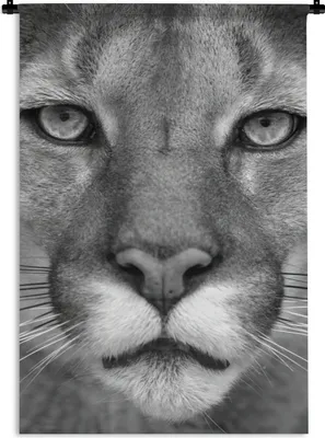 Produktbild von MuchoWow® Wandteppich Wandbehang Panther - Wildlife - Schwarz - Weiß 60x90 cm Tapisserie Dekoration Wandtuch - Foto-Teppich - Abwaschbar