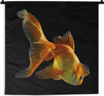 Produktbild von MuchoWow® Wandteppich Wandbehang Goldfisch - Tiere - Schwarz 60x60 cm Tapisserie Dekoration Wandtuch - Dekorationen - Wand Decke