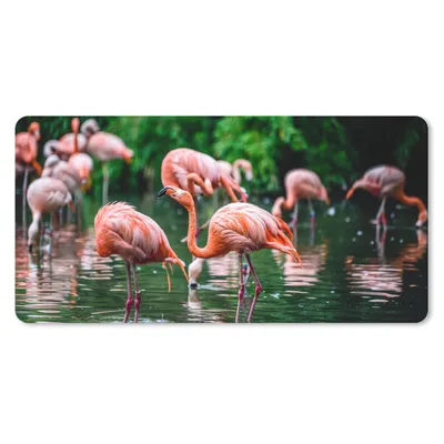Produktbild von MuchoWow® Mauspad Mousepad Flamingo - Tropisch - Vogel - Wasser - Rosa 60x30 cm - Mousepads - Maus Mat - Pad - Mausunterlage - Nachhaltig