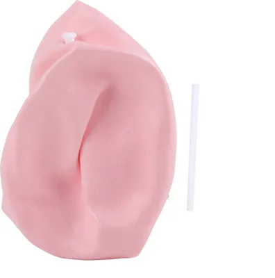Immagine prodotto di Palla da yoga rosa da 25 cm, a prova di scoppio, per Pilates, gravidanza e fitness