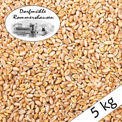 Produktbild von 5 kg Weizen Gereinigt Hühnerfutter Geflügelfutter Futterweizen Vogelfutter Ernte 2023 DML