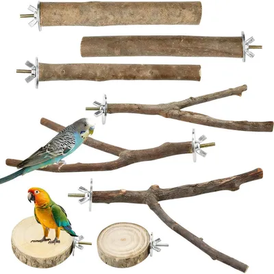 Immagine prodotto di Set di 8 giocattoli per uccelli, posatoi in legno naturale, adatti per parrocchetti ondulati, canarini e pappagallini