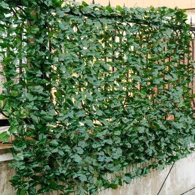Immagine prodotto di Siepe da muro per piante artificiali, foglie di edera, schermo per la privacy, siepe per piante, recinzione da giardino per interni ed esterni, 150 x 300 cm