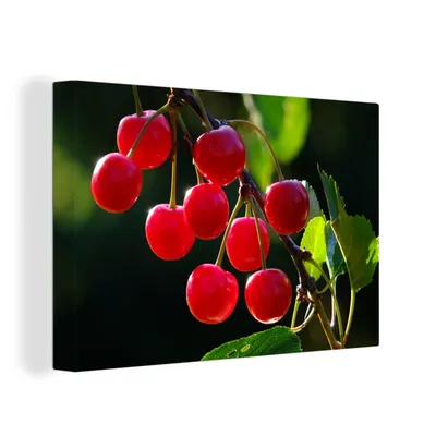 Obrázek produktu pro OneMillionCanvasses® Malba na plátně Nástěnná malba na plátně - Ovoce - třešeň - větev - 150x100cm