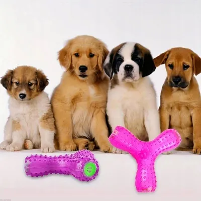 Image de Jouet pour chien avec son - Violet