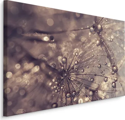 Obrázek produktu pro Obrázek nafukovací kapky vody abstraktní příroda příroda 3D dekorace pro obývací pokoj 120x80cm
