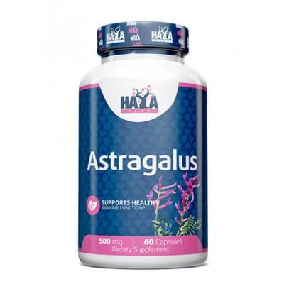 Obrázek produktu pro Haya Labs Astragalus 500Mg