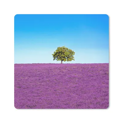 Produktbild von MuchoWow® Mauspad Mousepad Baum - Lila - Himmel - Lavendel 20x20 cm - Mousepads - Maus Mat - Pad - Mausunterlage - Desk Mat - Bureauartikeln