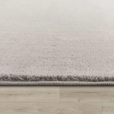 Image de Tapis lavable Salon Tapis à poils courts Unicolore Style moderne Doux