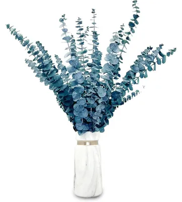 Produktbild von Getrocknete Eukalyptus-Zweige 20 Stück 43cm Blau für Blumenarrangements & Deko