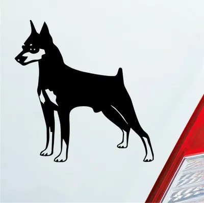 Produktbild von Auto Aufkleber Zwergpinscher Hund Dog Animal 10x10 cm Schwarz Glanz Sticker Heckscheibenaufkleber