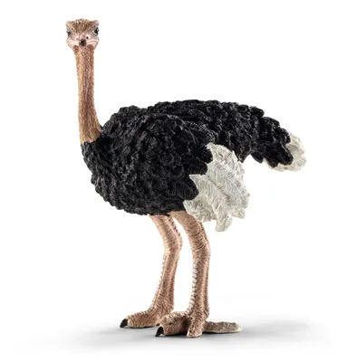 Obrázek produktu pro schleich WILD LIFE 14744, 3 rok/roky, Vícebarevný, Plast, 1 kusů