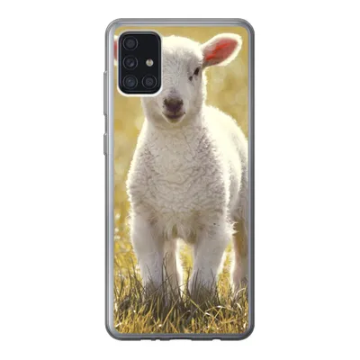 Produktbild von MuchoWow® Handyhülle Schutzhülle Hülle für Samsung Galaxy A52 5G Lamm - Gras - Sonne Silikon Softcase Handy Hülle - Umschlag