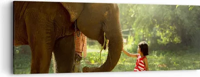 Produktbild von Bild auf Leinwand - Leinwandbild - Elefant Tier - 90x30cm - Wand Bild - Wanddeko - Wandbilder - Leinwanddruck - Bilder - Kunstdruck - Wanddekoration - Leinwand bilder - Wandkunst - AB90x30-3884