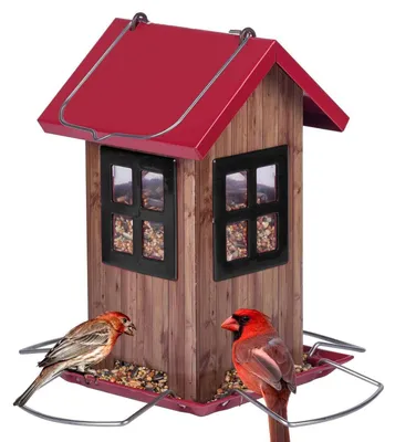 Immagine prodotto di Distributore di mangime per uccelli in metallo con 4 aperture per il cibo, fori di drenaggio, finestra trasparente e dimensioni approssimative di 12,7 x 12,7 x 20,3 cm