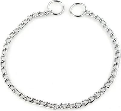 Image de Collier à maillons simple rangée, 45 cm, collier métallique pour chien